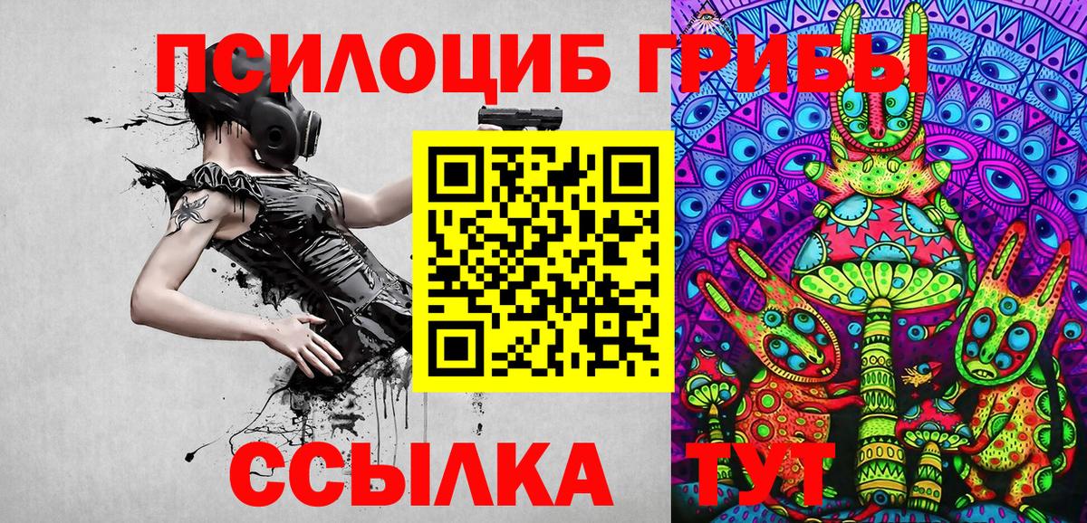 Галлюциногенные грибы Psilocybe Мытищи